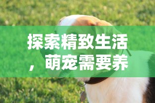 英雄无敌之征战亚山：勇士们挑战极限，以精湛战术与团队合作战胜峻峭山峦的刺激旅程