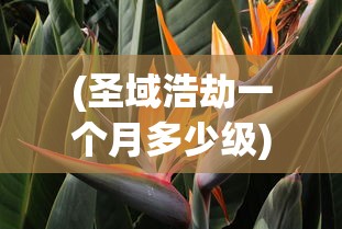 (圣域浩劫一个月多少级)深入探讨：在'圣域浩劫'游戏中，如何在一个月内达到最高级别