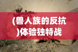 重塑荣耀：汉末三国纷争背景下，壮志豪情再建大秦帝国的历史探究与社会影响