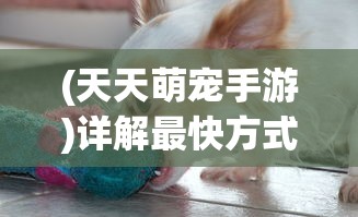 深度解析：揭秘《觅长生丹方大全表》背后的科学原理与中医传统理论