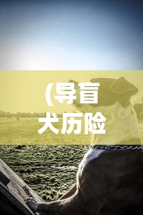 (导盲犬历险记)汪汪汪奇迹再现：细数历年全球导盲犬逆袭故事中的感人时刻