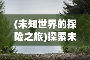 详解光之守望暴风剑豪的最佳符石搭配：极致输出与生存能力完美结合的战斗策略