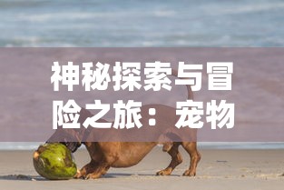 探寻真实的自我：《姬神物语大隐游戏》以探索人性与道德冲突为主题的角色扮演冒险