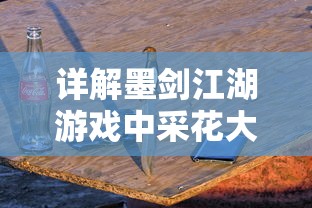 详解墨剑江湖游戏中采花大盗任务的全步骤攻略及关键技巧，助你快速提升游戏实战经验