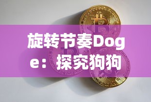 旋转节奏Doge：探究狗狗币在加密货币市场的波动频率与投资者行为关系的独特研究