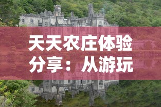 天天农庄体验分享：从游玩环境到游客服务，全面剖析天天农庄的真实面貌