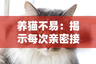 养猫不易：揭示每次亲密接触猫咪都可能带来致命风险的不为人知的真相