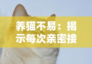 养猫不易：揭示每次亲密接触猫咪都可能带来致命风险的不为人知的真相