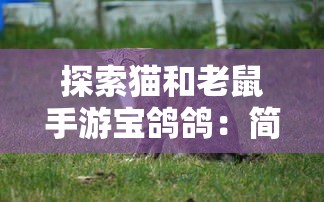 深度解析：掌握百战三界2绝对胜算法则，成就霸主传说—全面战略要点攻略