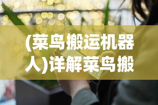 (第七史诗wikinga)深度解读《第七史诗》wiki：探索游戏设定与角色构思的匠心巧思