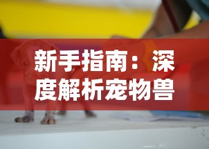 (1987年央视春晚齐天乐)1986央视齐天乐春晚盛况空前，惊艳全国观众，成为经典传世之作