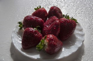 (疯狂炮击手还能玩吗)疯狂炮炮兵史莱姆巨大化现象解析