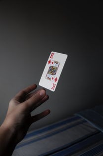 (暗之声游戏)暗之回响国际版，多元视角下的游戏解读与探讨