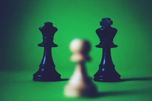 (魔法禁书目录第一季在线观看)魔法禁书目录第一季作为一部深受动漫爱好者喜爱的作品，不仅拥有独特的世界观和丰富的角色设定，还引发了众多关于科学、宗教和哲学的讨论。以下是一篇关于魔法禁书目录第一季的原创文章，字数约为1233字。