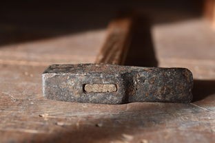 (遇见喵克斯攻略)遇见喵克斯近况分析，多元化视角下的探讨与常见问题解答