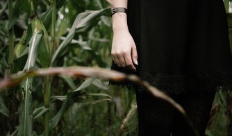 探索奇幻世界：异世界模拟器2折相思最新版全新玩法与精彩内容详解