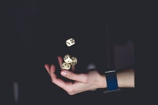 (虚妄之语)探寻虚妄之国：现实与幻想交织的深层次解析与思考