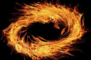 (怪物仙境3攻略大全)怪物仙境3，深入解析与攻略补充