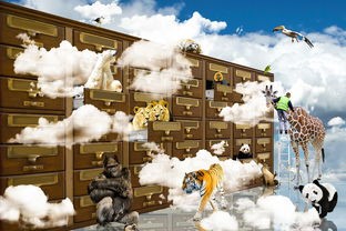 (单机消灭星星旧版下载)单机消灭星星旧版，经典游戏背后的魅力与反思
