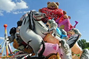 (男兵女兵报名流程区别)男兵女兵报名时间的差异与影响分析
