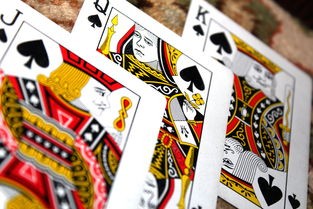 (守护者之森激活码2024最新版)守护者之森激活码2024最新补充内容解析
