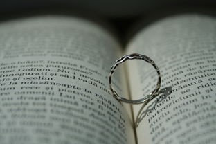 (kio的人间冒险第一关怎么过)KIO人间冒险攻略，波波左边房间的秘密解析