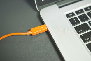 (百度百科神印王座)探索神印王座世界的无限可能性：动漫神印王座的奇幻冒险之旅