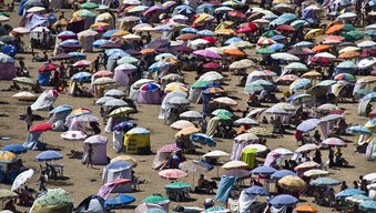 (千年金志文吉克隽逸歌词)千年金志文与吉克隽逸，跨时空的音乐对话