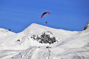 探索安卡之地(测试服)：揭示未知世界与挑战玩家极限的全新冒险旅程