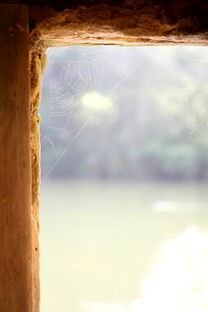 (美杜莎传奇玩法攻略视频)探秘美杜莎传奇，玩法攻略与常见问题解析