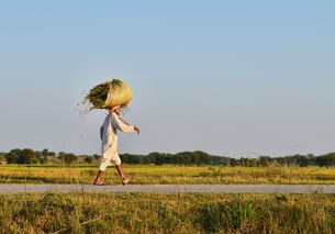 (我的世界地图种子)探索我的世界地图，多元化视角下的地理奥秘