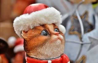 (猫咪斗恶龙第三条龙怎么打)探秘猫咪斗恶龙3：异世界冒险之旅，勇者猫咪与凶恶龙的对决！