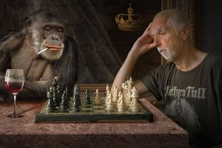 (dota2自走棋 手机版)探索Dota2自走棋手机版全新世界，它究竟叫什么名字呢？