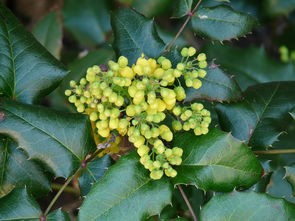 (原始蛮荒部落免费阅读全文)原始蛮荒，探寻人类文明的起源与启示