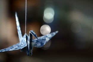 女人佩戴莫比乌斯环的禁忌与深层含义解析，揭示其背后文化与象征