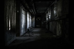 (御龙在天手游官网)御龙在天手游作为一款深受玩家喜爱的MMORPG游戏，自推出以来便吸引了大量玩家。本文将从游戏特色、玩家体验、市场影响以及常见问题等方面进行分析介绍。