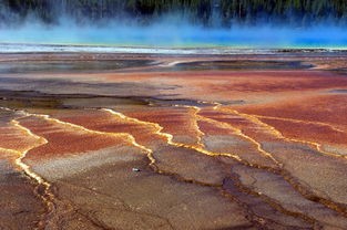 (逍遥八仙湖景区)逍遥八仙湖