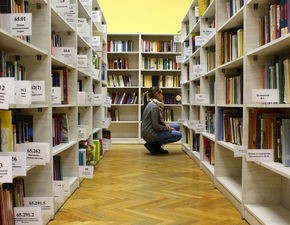(校园模拟器英文版下载)校园模拟器英文版