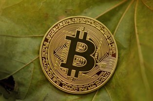 (混沌西游红包版最新玩法)混沌西游红包，探秘数字世界的红包文化