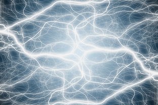 (hd tune pro健康状态)Hdtunepro健康状态说明解析，多元化视角下的健康管理