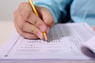 (早安我的少年满级下载)早安我的少年满级数据包深度解析