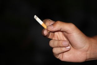 (仙子的修行萧曦月 小说免费阅读)仙子的修行，深度解析与探讨