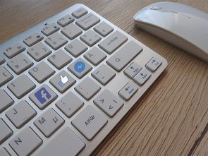 (电脑闪屏按什么键恢复快捷键)电脑闪屏问题解析与恢复方法