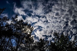 (来自深空中的恐惧英文)来自深空中的恐惧，探讨宇宙未知与人类心理