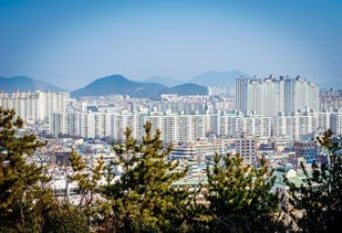 (赛博城市壁纸)赛博城市，未来城市的数字化探索