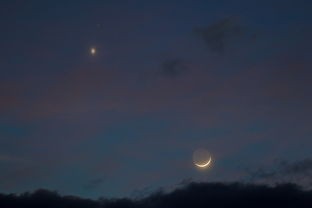 (永夜幻想曲下载)永夜幻想曲，探寻幻想与现实之间的边界