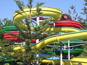 (夏日水上乐园物语汉化破解版)夏日水上乐园物语无限金币版深度解析