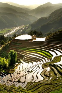 (滑稽农场电影在线观看)滑稽农场，多元化视角下的幽默与反思