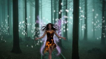 (凡人寻仙路小说)凡人求仙录是一部描绘凡人修炼成仙的奇幻小说，以其独特的世界观、丰富的人物设定和深刻的寓意赢得了众多读者的喜爱。以下是一篇基于凡人求仙录的原创文章，将从多个角度进行分析介绍，并提出问题。