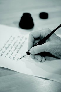 (行草字体大全对照表)行草字体大全探析，艺术价值与实践应用